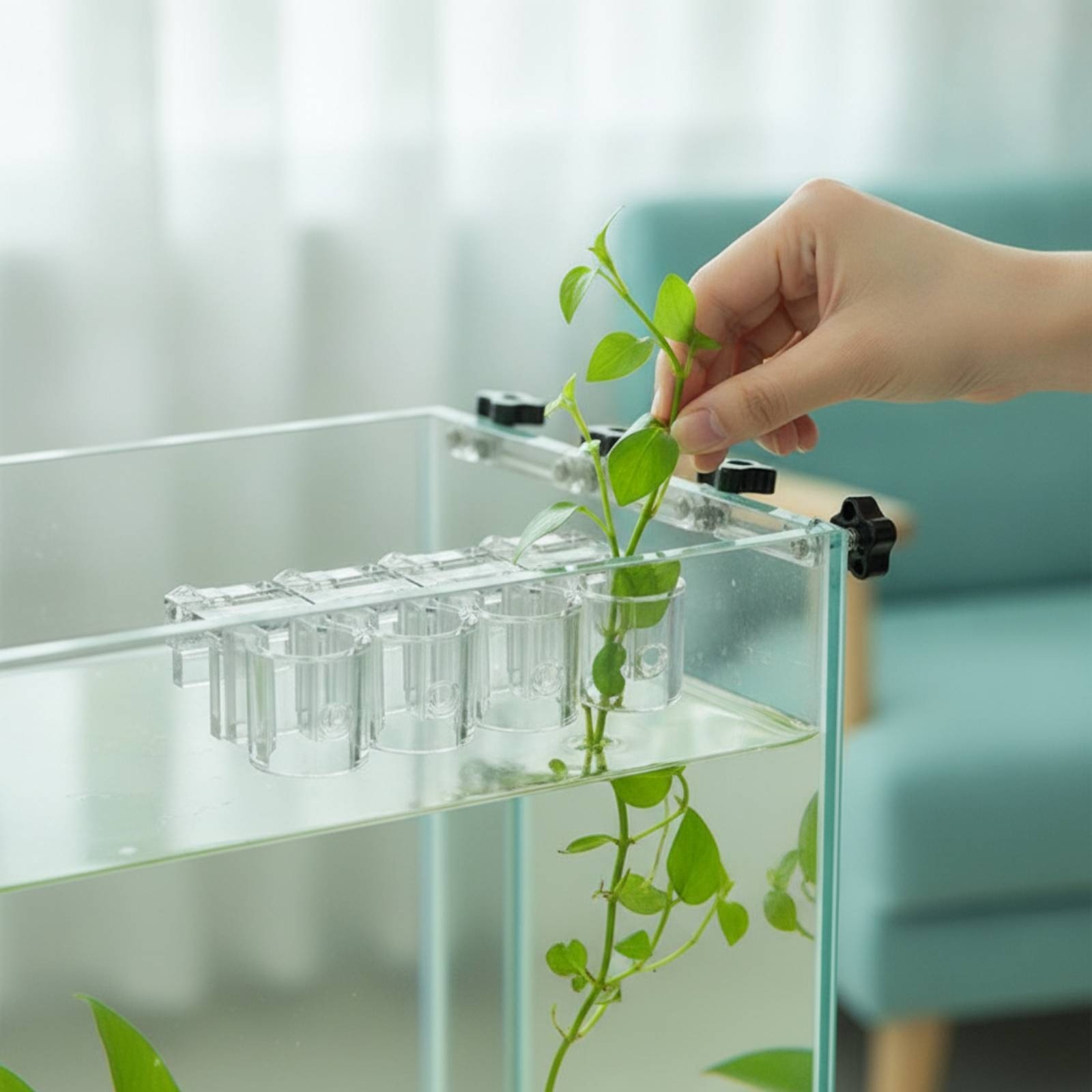 Aquarium Planted - คลิปหนีบกระถางปลูกพืชน้ำแบบใส 6 ชิ้น พร้อมสกรู สำหรับคนเลี้ยงปลาและตู้ปลา