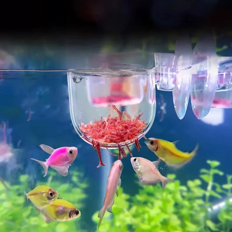 Aquarium Plant Factory - อุปกรณ์ตกแต่งตู้ปลาแบบแขวน ถ้วยปลูกต้นไม้น้ำทรงกระบอกอะคริลิกใสขนาดเล็ก สำหรับตู้ปลา พร้อมอุปกรณ์ให้อาหาร
