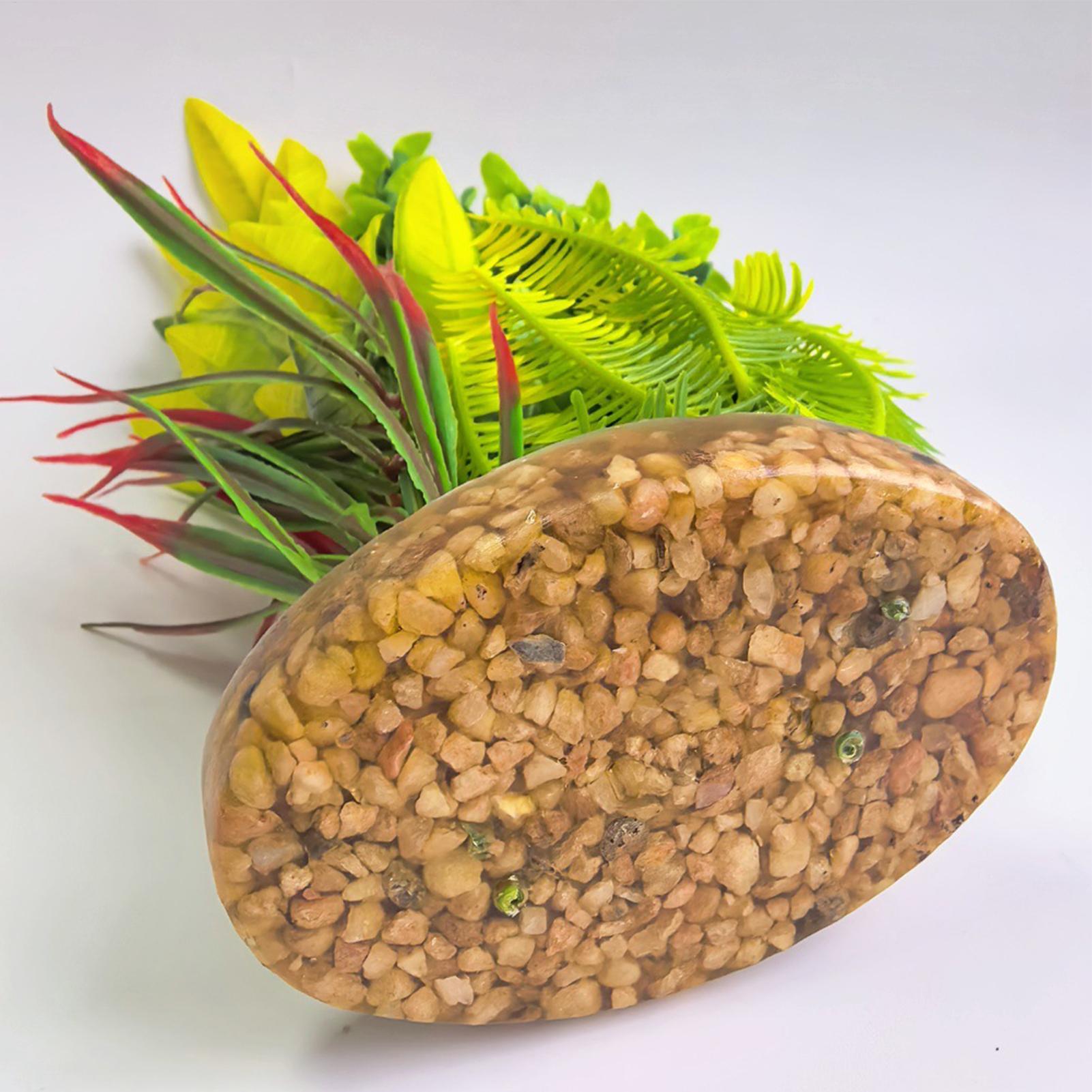 Planted Aquarium For Beginners - ต้นไม้ประดิษฐ์สำหรับตกแต่งตู้ปลา กุ้ง ตกแต่งตู้ปลาเบต้า สำหรับผู้เลี้ยง นักสะสม ผู้เริ่มต้น