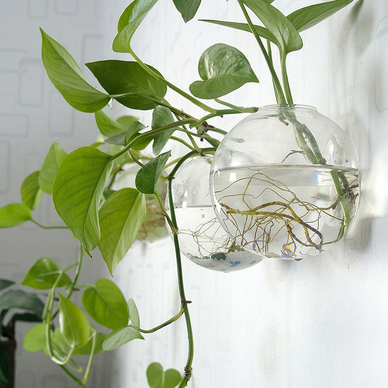 Planted Aquarium Bowl - ตู้ปลาอะคริลิคแขวนผนัง แจกันอะคริลิคใส ตกแต่งบ้าน ตู้ปลาน้ำจืด ตู้ปลาน้ำเค็ม สำหรับสัตว์เลี้ยง