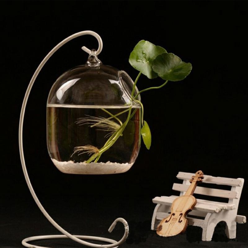 Planted Aquarium Bowl - 62kd แขวนคร่าว
