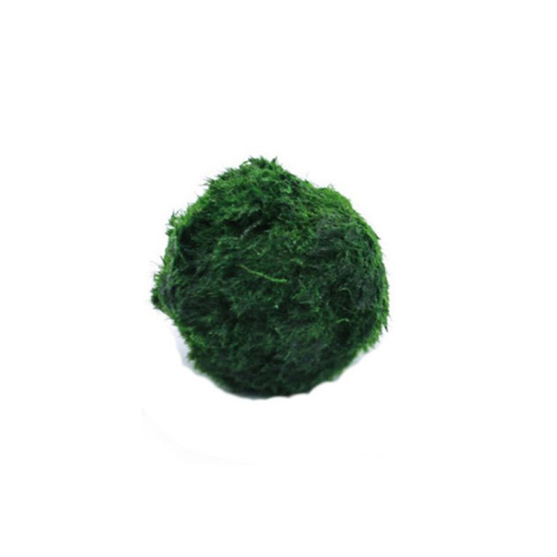 Aquarium Planted Tank Substrate - มาริโม่ มอสบอล ต้นไม้ประดับตู้ปลา สาหร่าย ตกแต่งตู้ปลา ปลากุ้ง