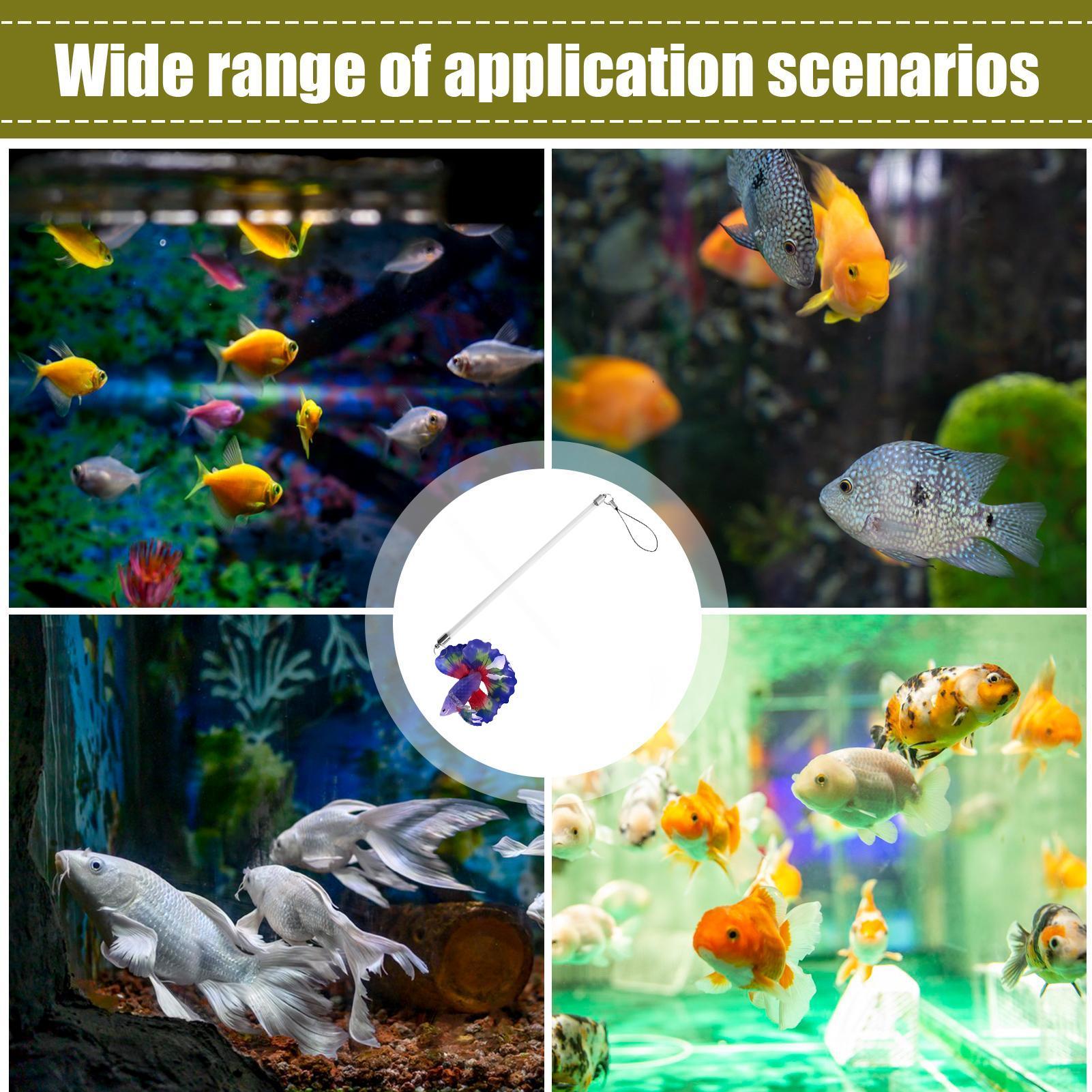 Planted Aquarium For Beginners - ไม้ฝึกปลา ของเล่นฝึกสมรรถภาพทางน้ำ ของเล่นอะคริลิกเสมือนจริงสำหรับปลาเบต้า สำหรับผู้เริ่มต้นและผู้รักสัตว์เลี้ยงมืออาชีพ