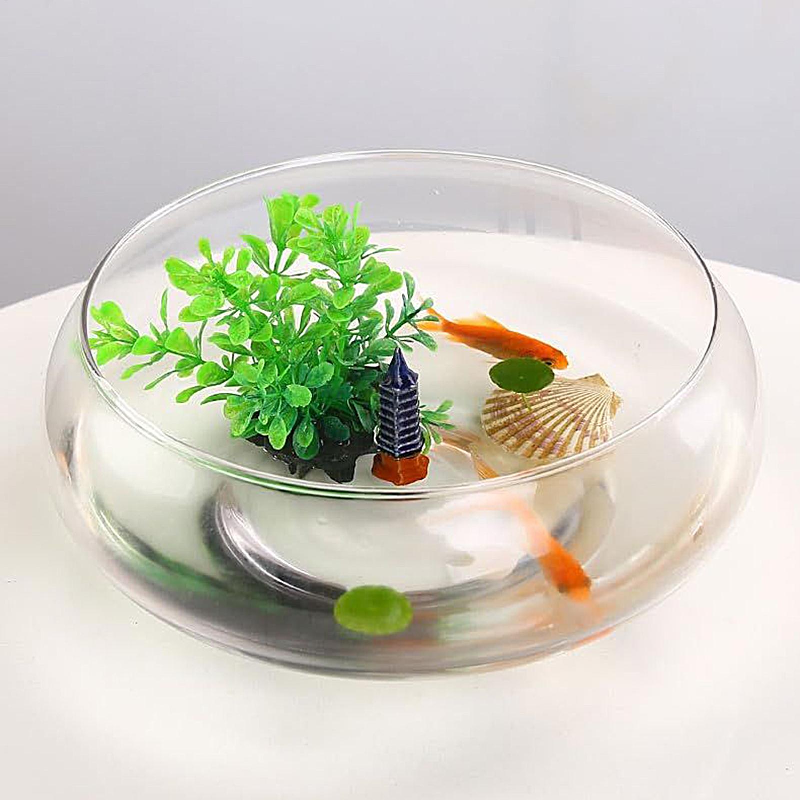 Planted Aquarium Bowl - ชามแก้วสำหรับปลา ชามแก้วขนาดใหญ่ กระถางปลูกพืชแบบไฮโดรโปนิกส์ ชามทรงกลมตื้น ชามปลูกต้นไม้ ชามปลูกพืชขนาดเล็ก