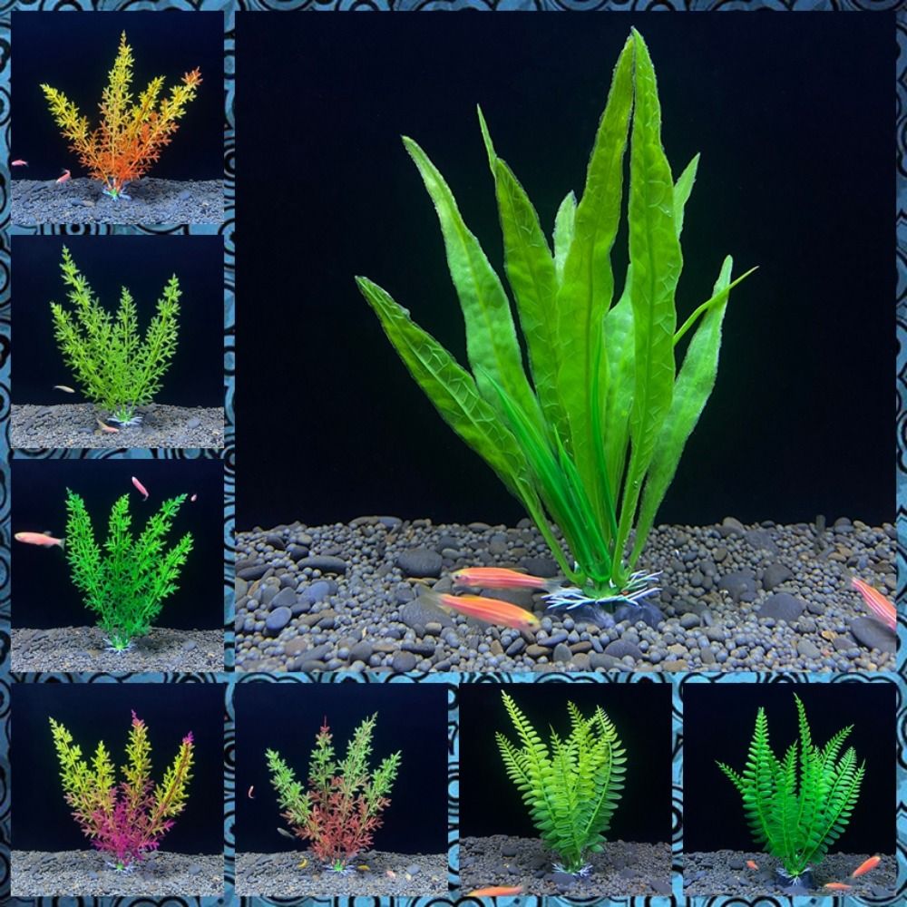 ถ้วยพลาสติกใส่ปลาจำลองสำหรับตก - Planted Aquarium Bowl บทวิจารณ์และราคา