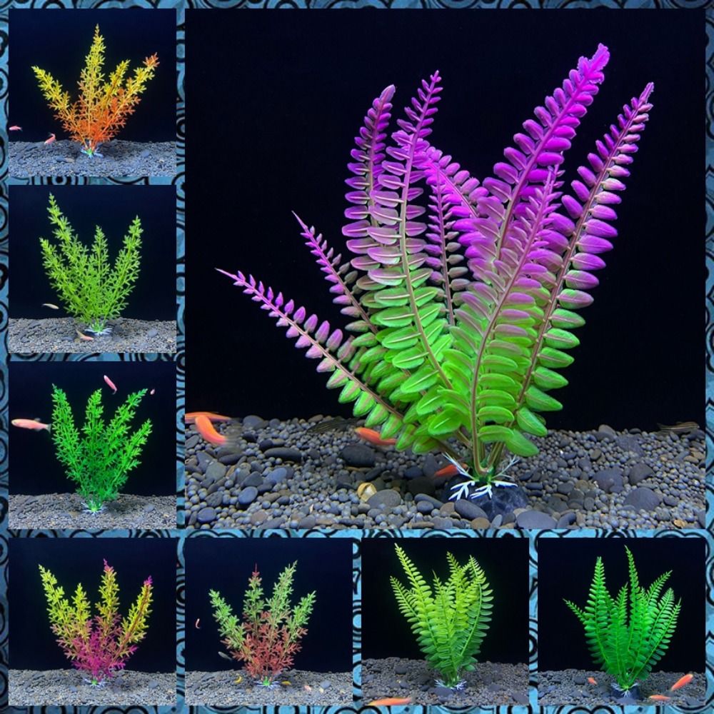 ถ้วยพลาสติกใส่ปลาจำลองสำหรับตก - Planted Aquarium Bowl บทวิจารณ์และราคา