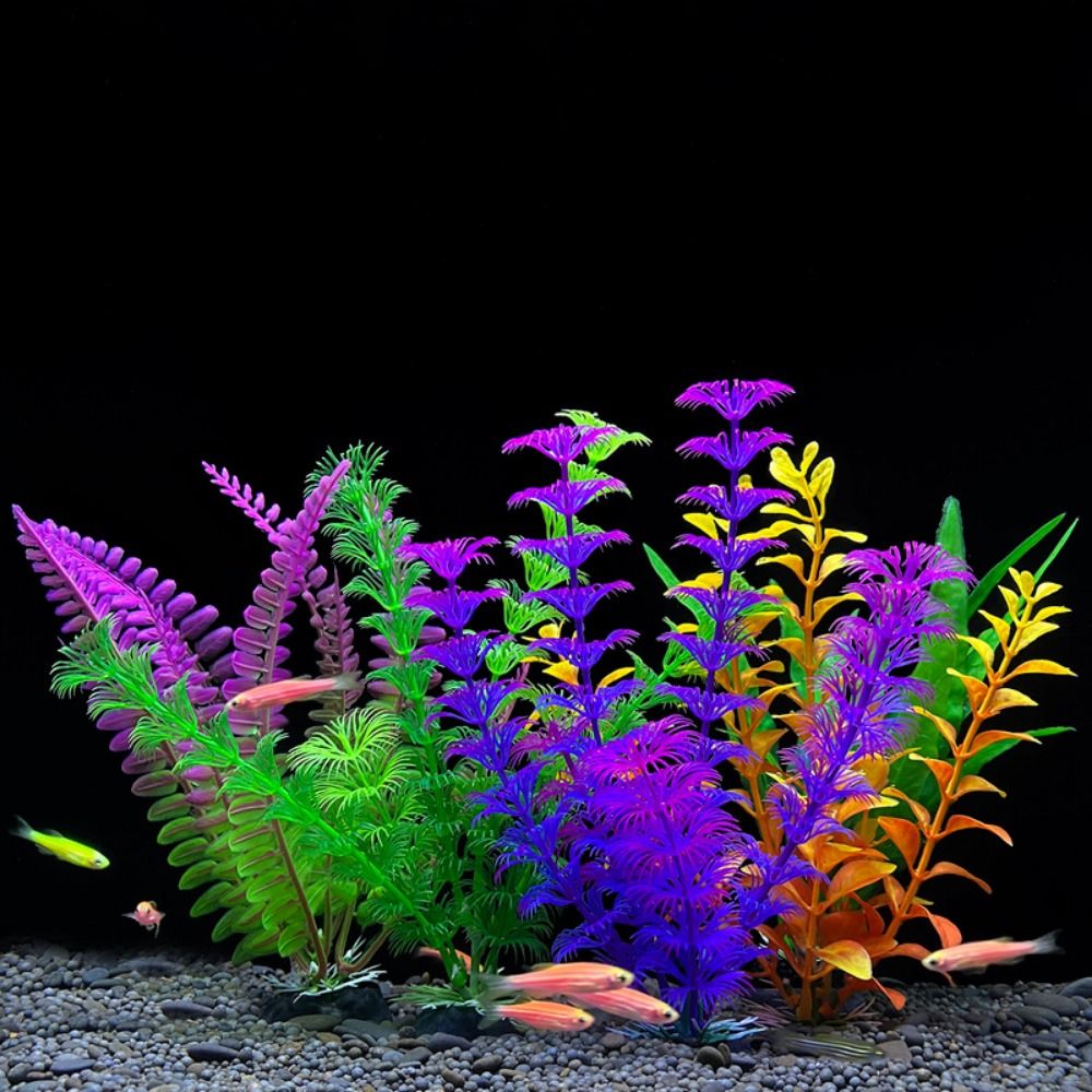 ถ้วยพลาสติกใส่ปลาจำลองสำหรับตก - Planted Aquarium Bowl บทวิจารณ์และราคา