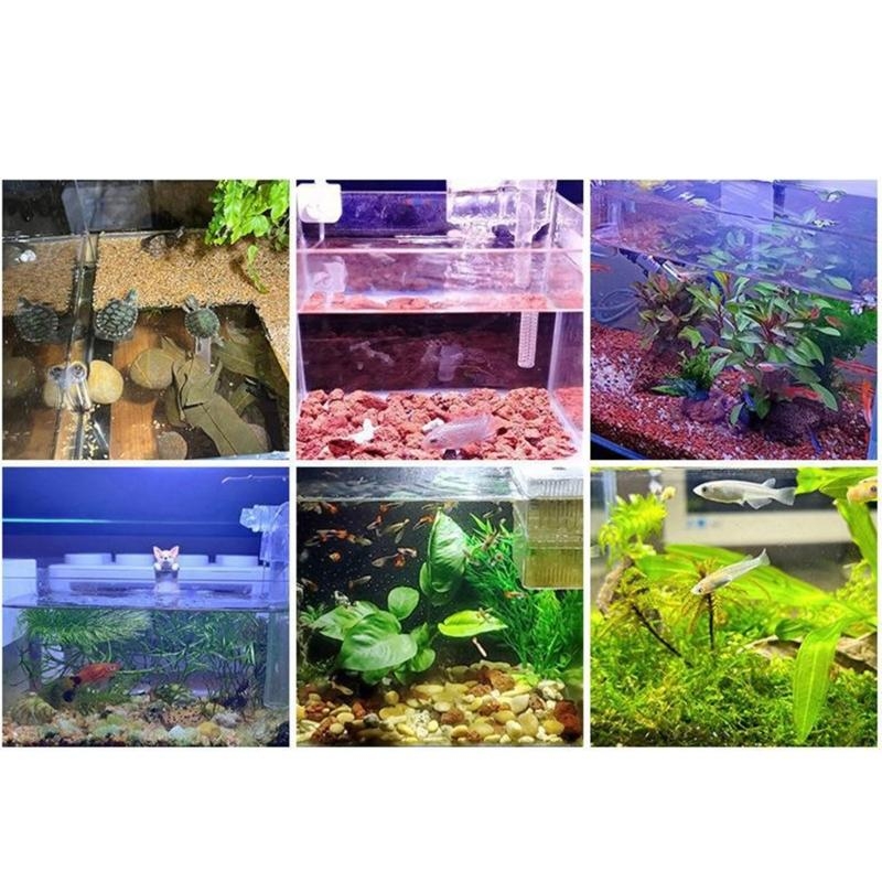 ตู้ปลาขนาดเล็กไฟตู้ปลา LED ไฟภ - Planted Aquarium Bowl บทวิจารณ์และราคา