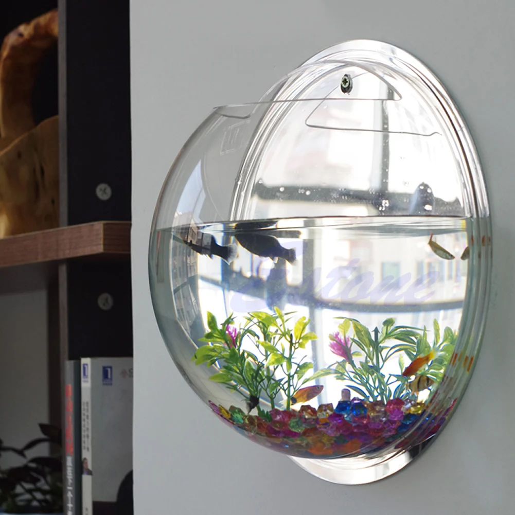 ติดผนังอะคริลิคชามปลาโปร่งใสแข - Planted Aquarium Bowl บทวิจารณ์และราคา