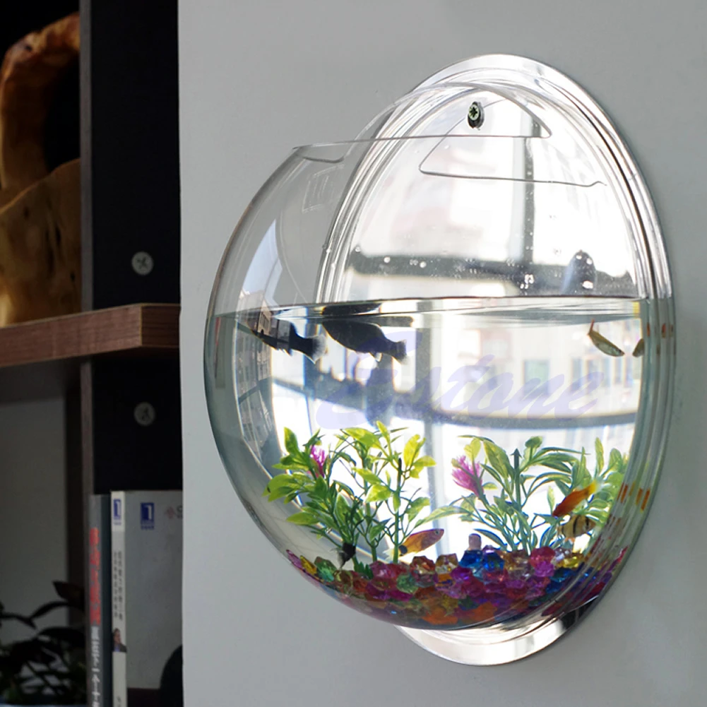 ติดผนังอะคริลิคชามปลาโปร่งใสแข - Planted Aquarium Bowl บทวิจารณ์และราคา