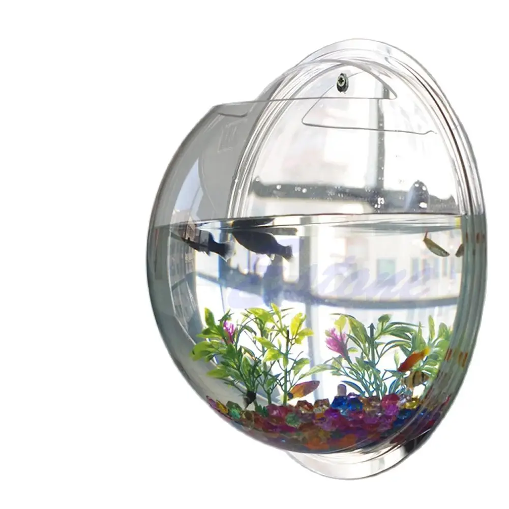 ติดผนังอะคริลิคชามปลาโปร่งใสแข - Planted Aquarium Bowl บทวิจารณ์และราคา