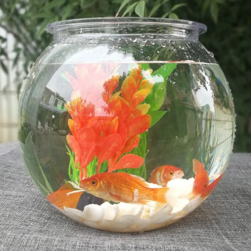 ชามปลาทองเดสก์ท็อปโปร่งใสพลาสต - Planted Aquarium Bowl บทวิจารณ์และราคา