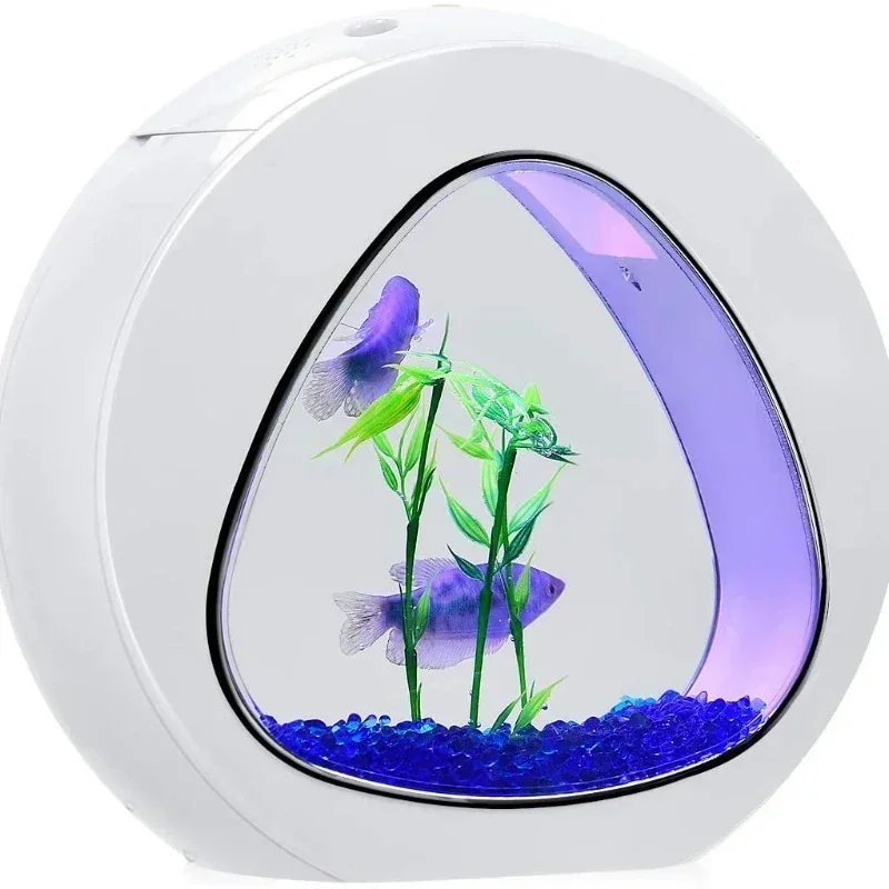 ตู้ปลาเบต้า ตู้เลี้ยงปลาพร้อมไ - Planted Aquarium Bowl บทวิจารณ์และราคา