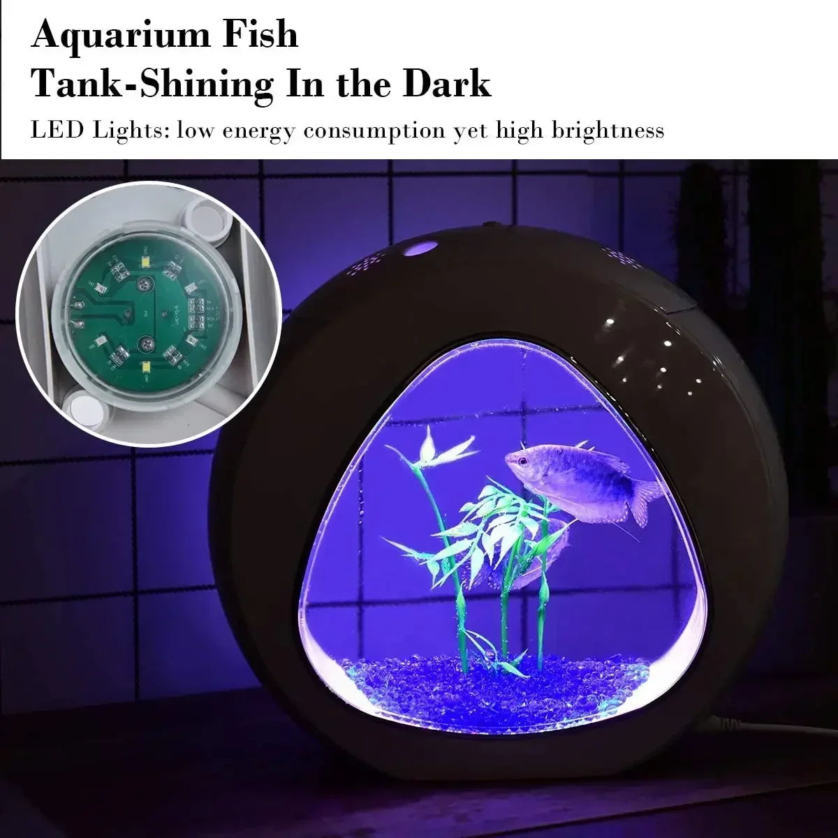 ตู้ปลาเบต้า ตู้เลี้ยงปลาพร้อมไ - Planted Aquarium Bowl บทวิจารณ์และราคา