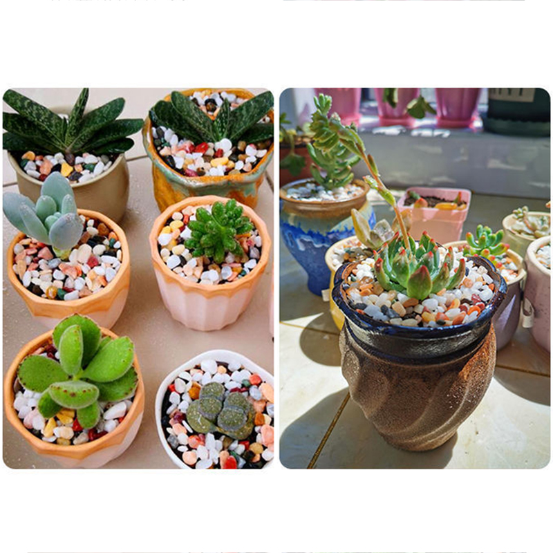 ทรายธรรมชาติสำหรับตู้ปลา 5 มม. - Aquarium Planted Tank Substrate บทวิจารณ์และราคา