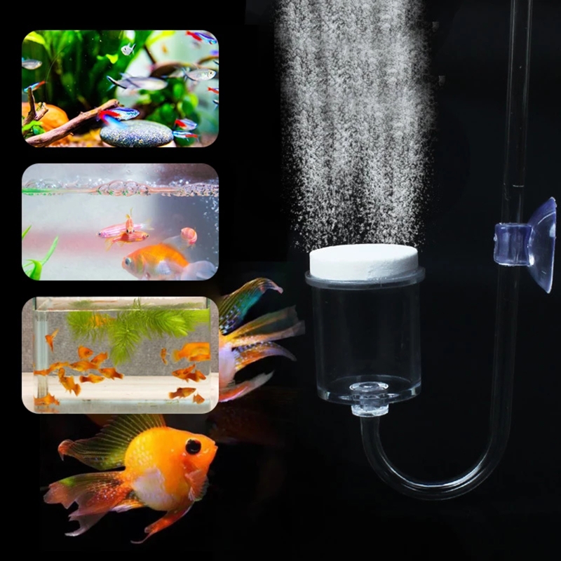 DIY ชุดกระจาย CO2 4ชิ้นสำหรับต - Aquarium Planted Tank Substrate บทวิจารณ์และราคา