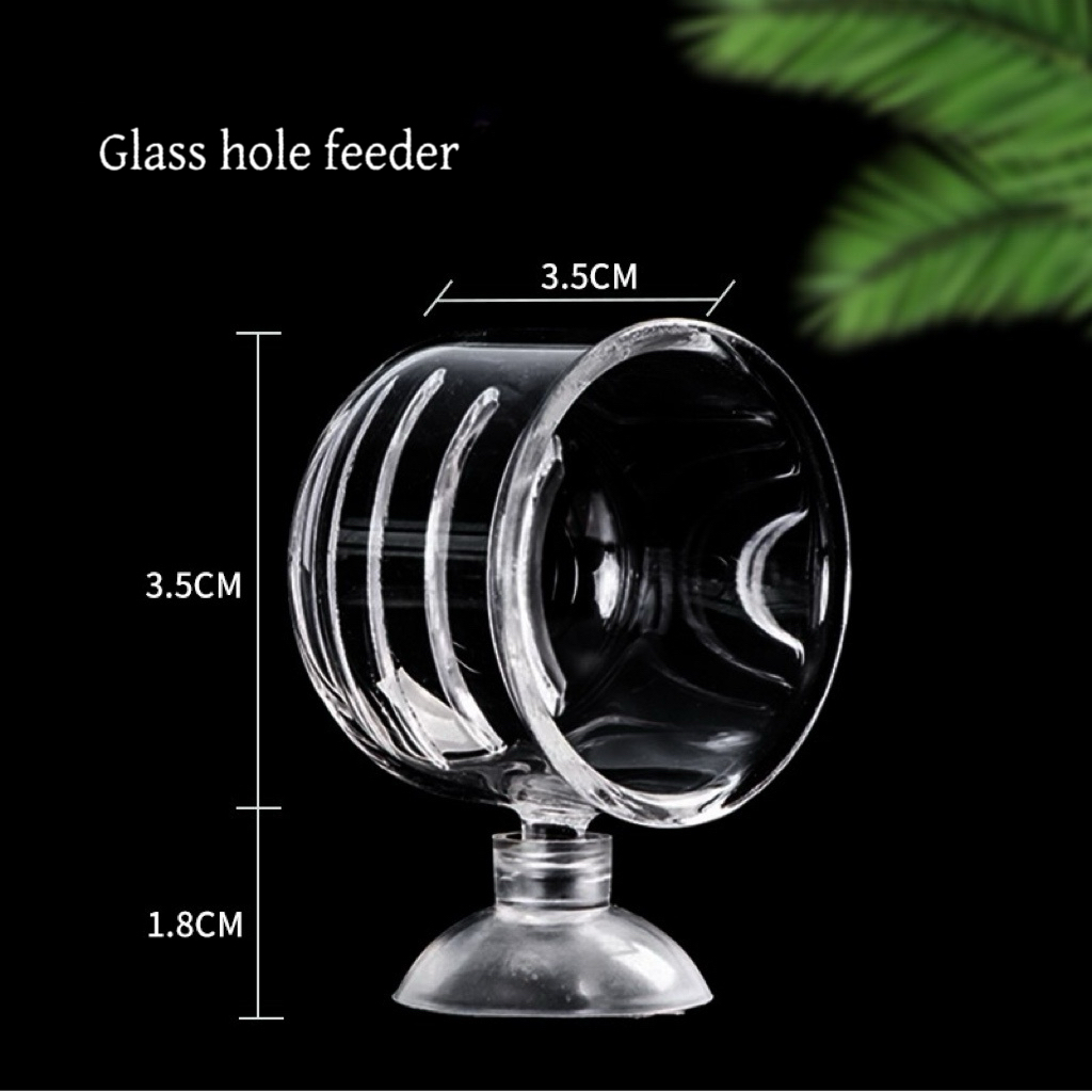 อุปกรณ์ตกแต่งตู้ปลาแบบแขวน ถ้ว - Aquarium Plant Factory บทวิจารณ์และราคา