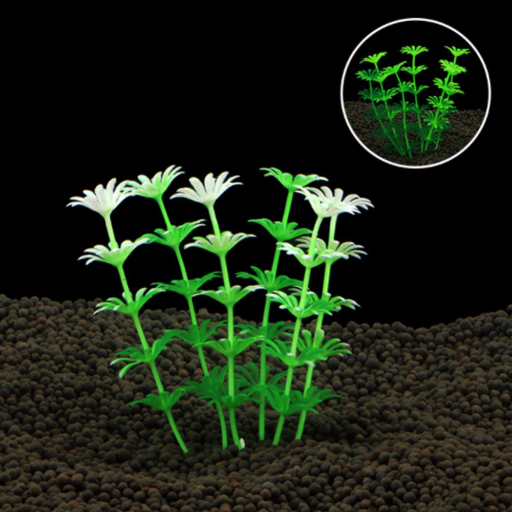 ถังปลาเครื่องประดับ Aquarium ป - Planted Aquarium Bowl บทวิจารณ์และราคา