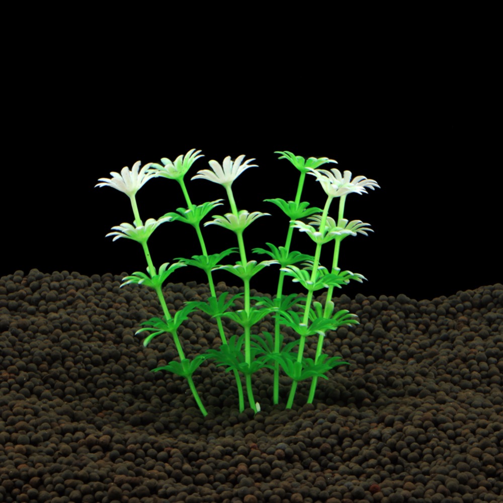 ถังปลาเครื่องประดับ Aquarium ป - Planted Aquarium Bowl บทวิจารณ์และราคา