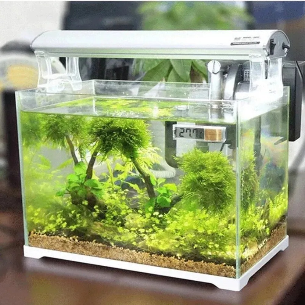 เทอร์โมมิเตอร์วัดอุณหภูมิในตู้ - Planted Aquarium Temperature บทวิจารณ์และราคา