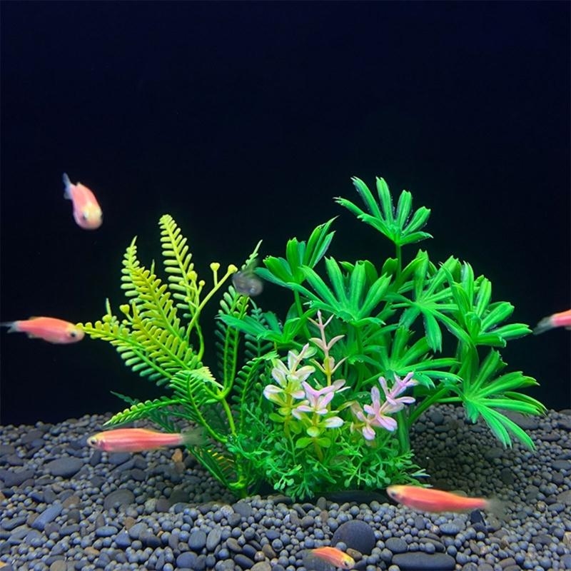 ต้นไม้ประดับตู้ปลา ของตกแต่งตู - Planted Aquarium Best Fish บทวิจารณ์และราคา