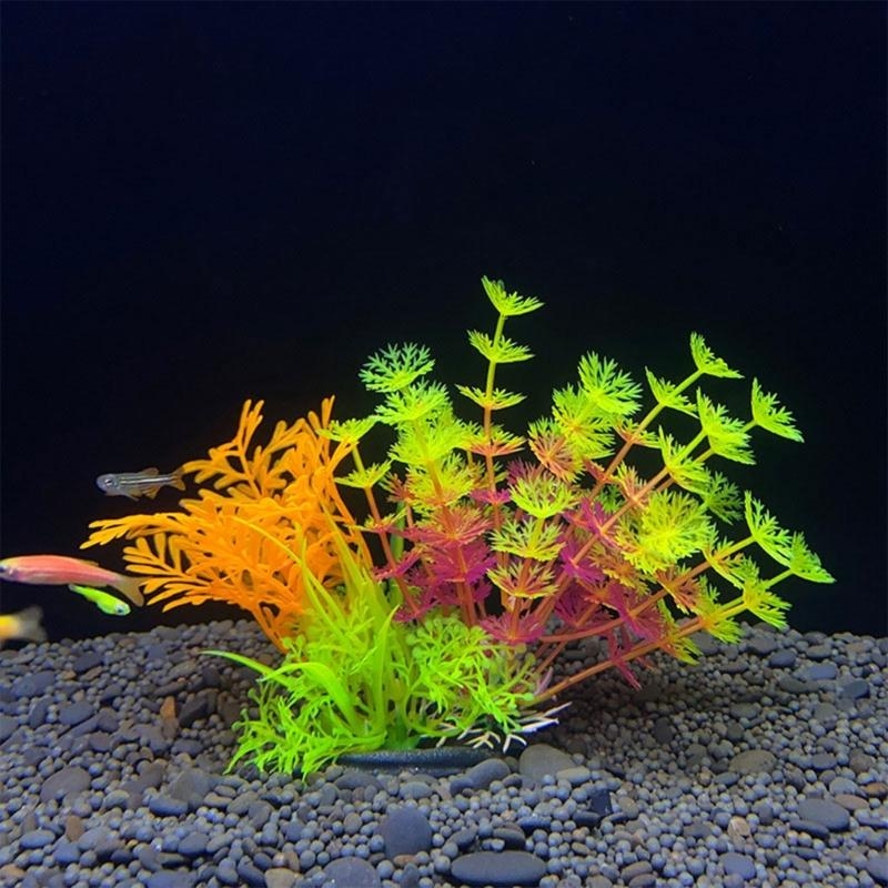 ต้นไม้ประดับตู้ปลา ของตกแต่งตู - Planted Aquarium Best Fish บทวิจารณ์และราคา