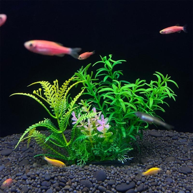 ต้นไม้ประดับตู้ปลา ของตกแต่งตู - Planted Aquarium Best Fish บทวิจารณ์และราคา