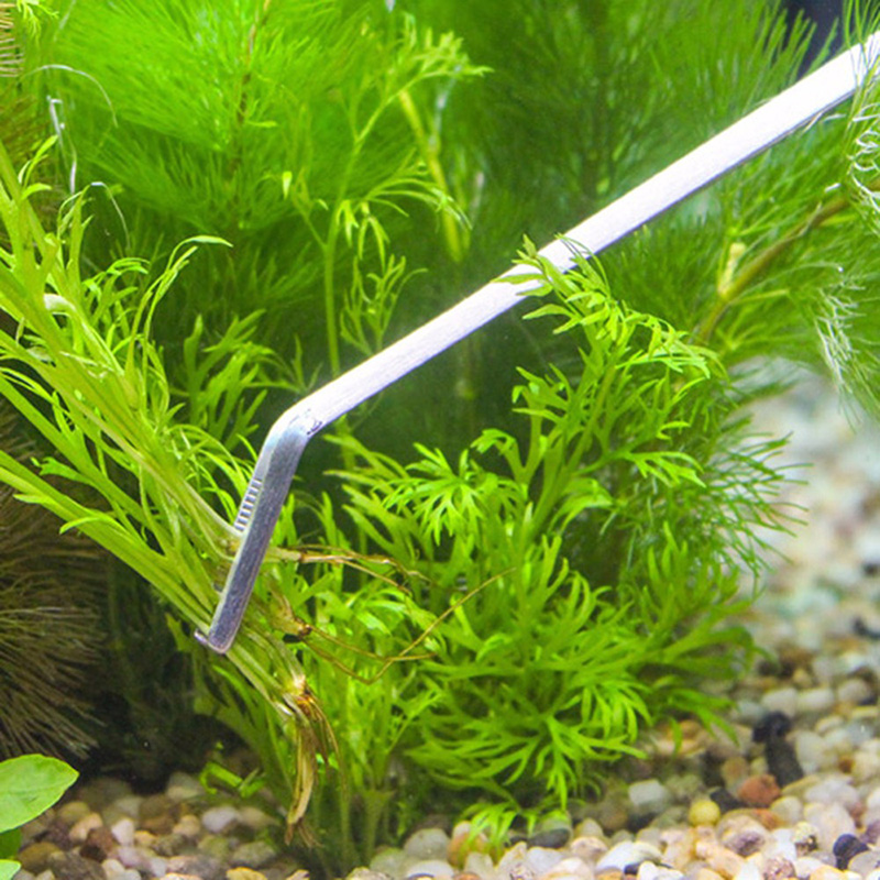 ชุดเครื่องมือบำรุงรักษาตู้ปลาแ - Planted Aquarium Maintenance Kit บทวิจารณ์และราคา