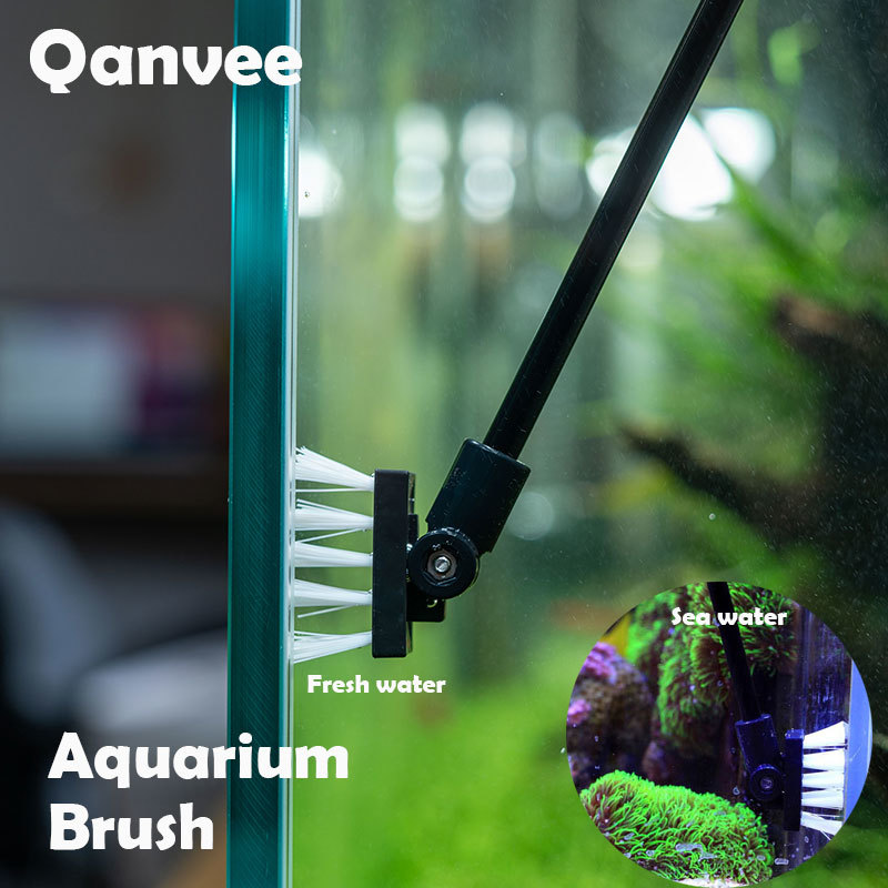 ตกปลาแปรงทําความสะอาดถังน้ําทะ - Planted Aquarium Freshwater บทวิจารณ์และราคา