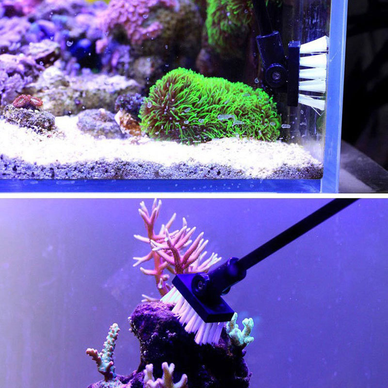 ตกปลาแปรงทําความสะอาดถังน้ําทะ - Planted Aquarium Freshwater บทวิจารณ์และราคา