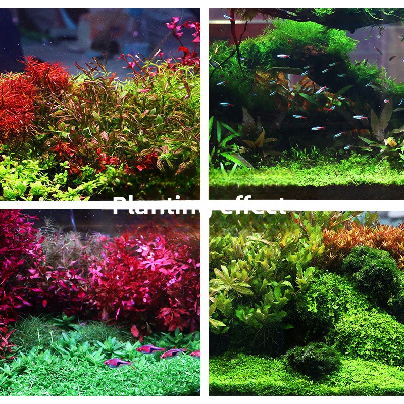 SYSENCIAGA ปลูก Aquarium พื้นผ - Aquarium Planted Tank Substrate บทวิจารณ์และราคา