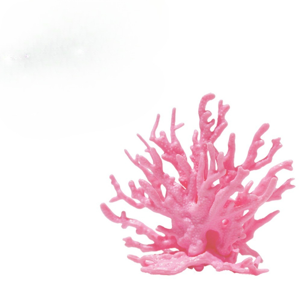 ถังปลา Aquascape จําลอง Coral  - Planted Aquarium Hard Water บทวิจารณ์และราคา