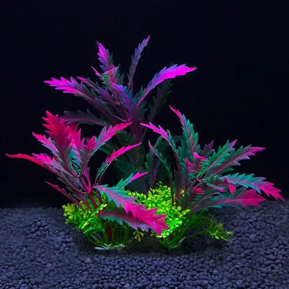 ของตกแต่งตู้ปลา 2 ชิ้น ต้นไม้ป - Planted Aquarium Bowl บทวิจารณ์และราคา