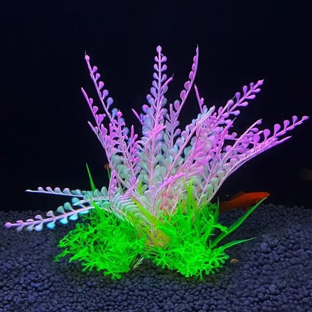 ของตกแต่งตู้ปลา 2 ชิ้น ต้นไม้ป - Planted Aquarium Bowl บทวิจารณ์และราคา