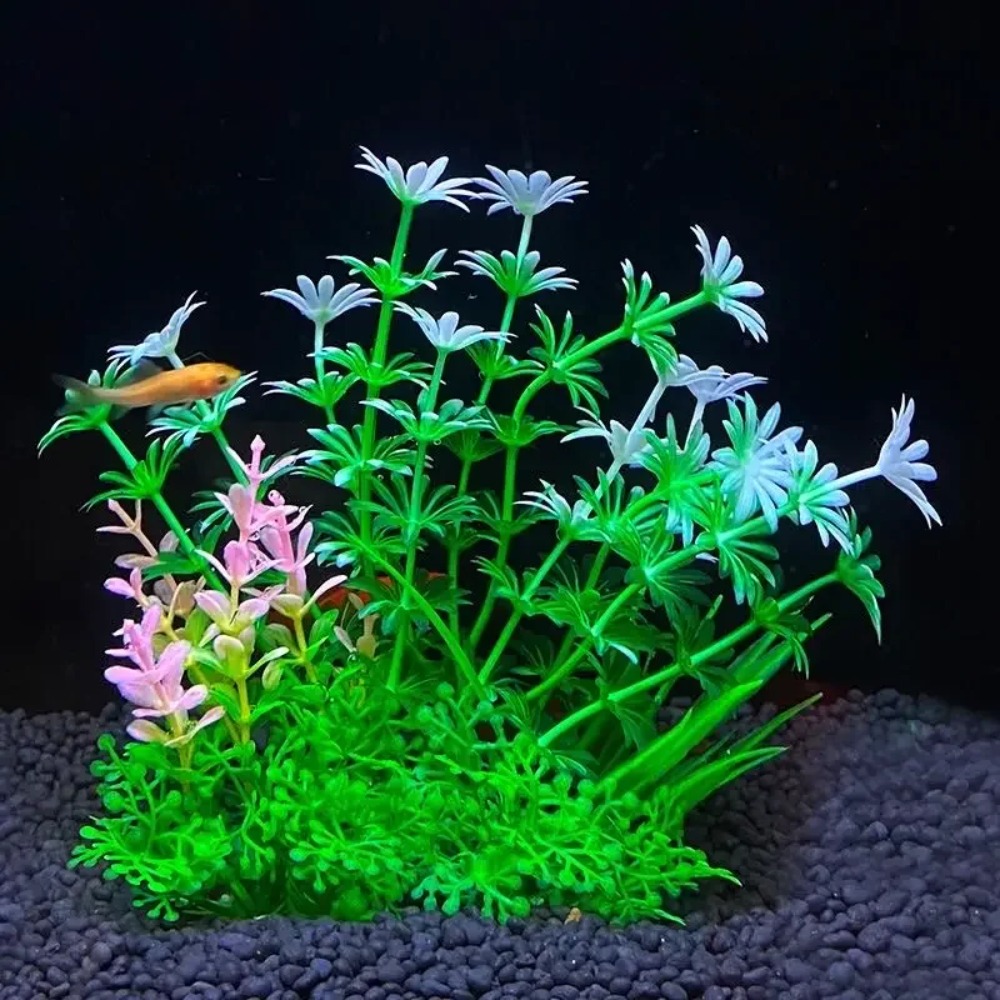 ของตกแต่งตู้ปลา 2 ชิ้น ต้นไม้ป - Planted Aquarium Bowl บทวิจารณ์และราคา