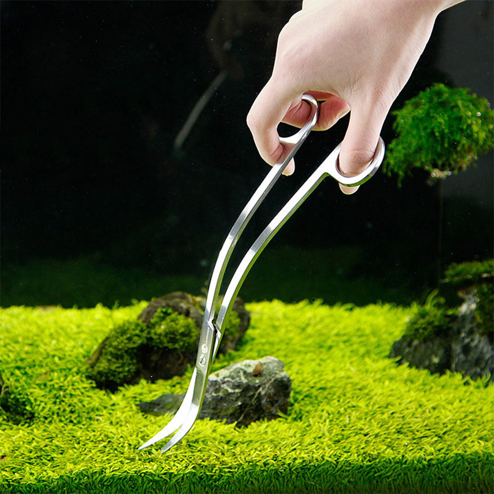 อุปกรณ์ตู้ปลาสแตนเลสสตีล Aquar - Planted Aquarium Maintenance Kit บทวิจารณ์และราคา