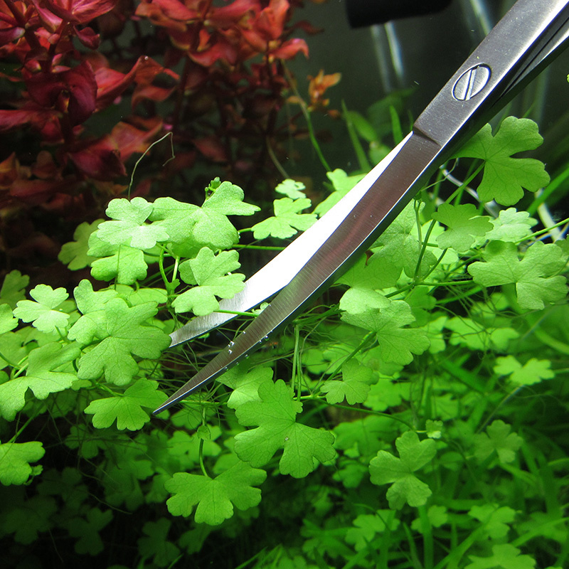 อุปกรณ์ตู้ปลาสแตนเลสสตีล Aquar - Planted Aquarium Maintenance Kit บทวิจารณ์และราคา