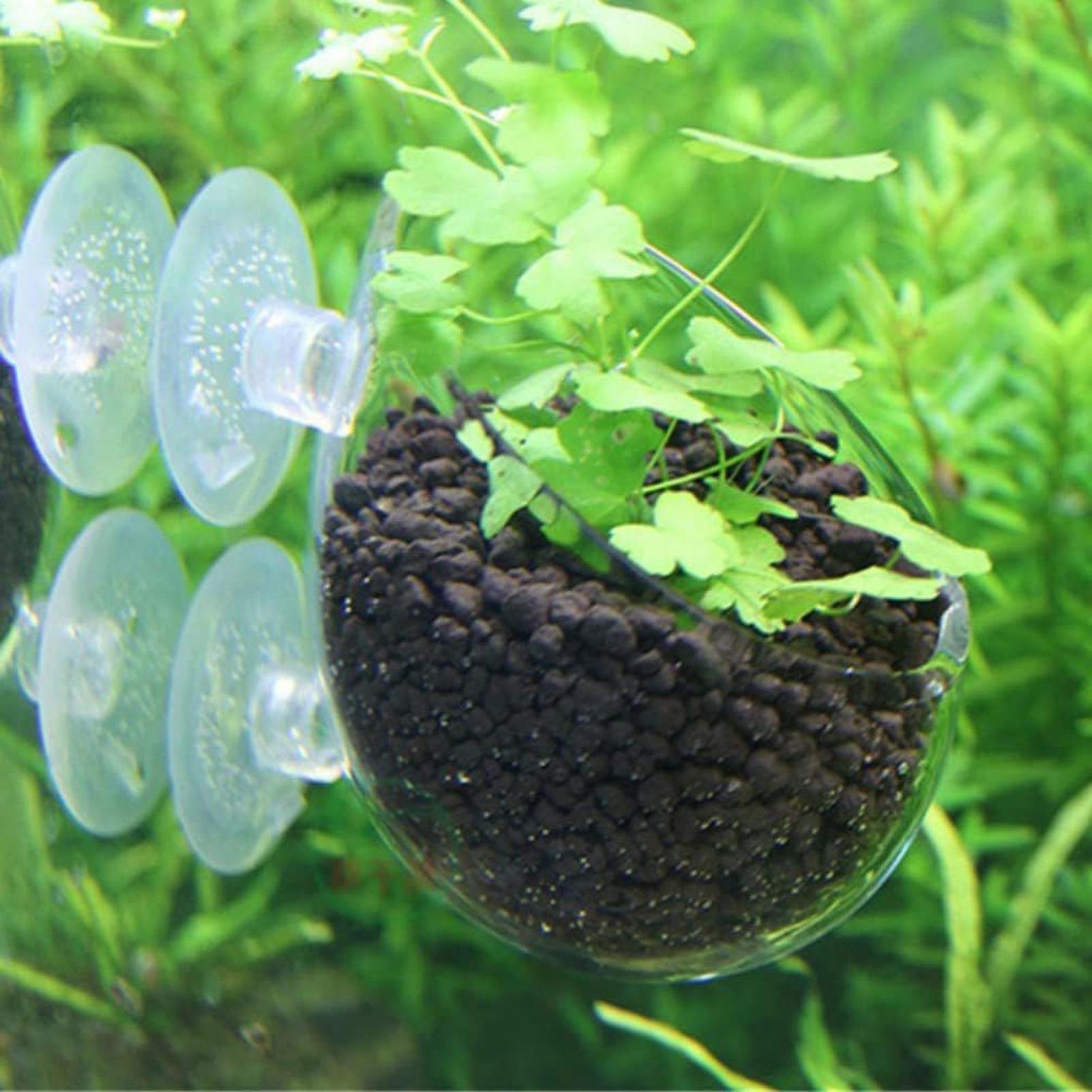 กระถางแก้วสำหรับปลูกต้นไม้ในตู - Aquarium Planted Tank Substrate บทวิจารณ์และราคา