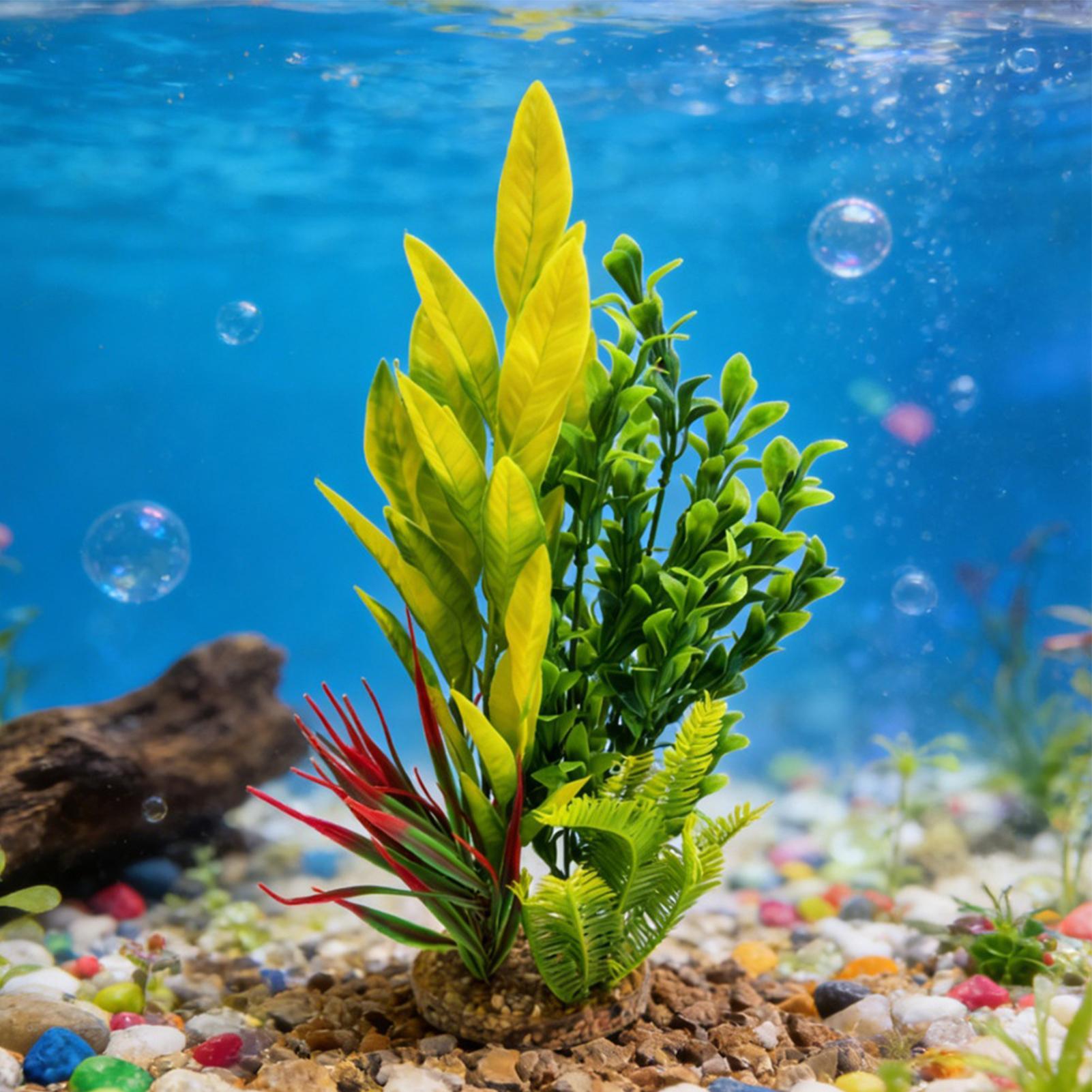 ต้นไม้ประดับตู้ปลา กุ้งปลอม ขอ - Planted Aquarium For Beginners บทวิจารณ์และราคา