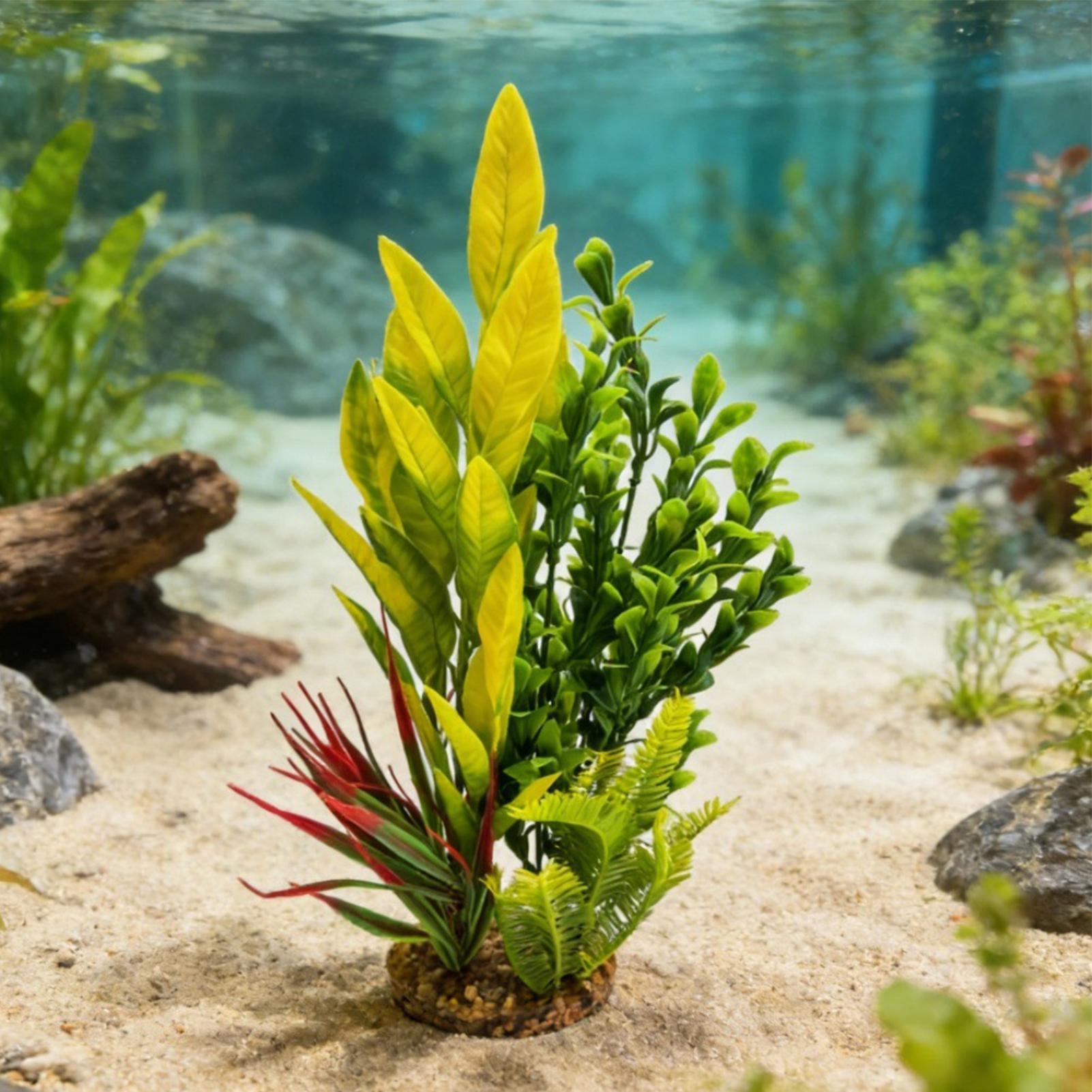 ต้นไม้ประดับตู้ปลา กุ้งปลอม ขอ - Planted Aquarium For Beginners บทวิจารณ์และราคา