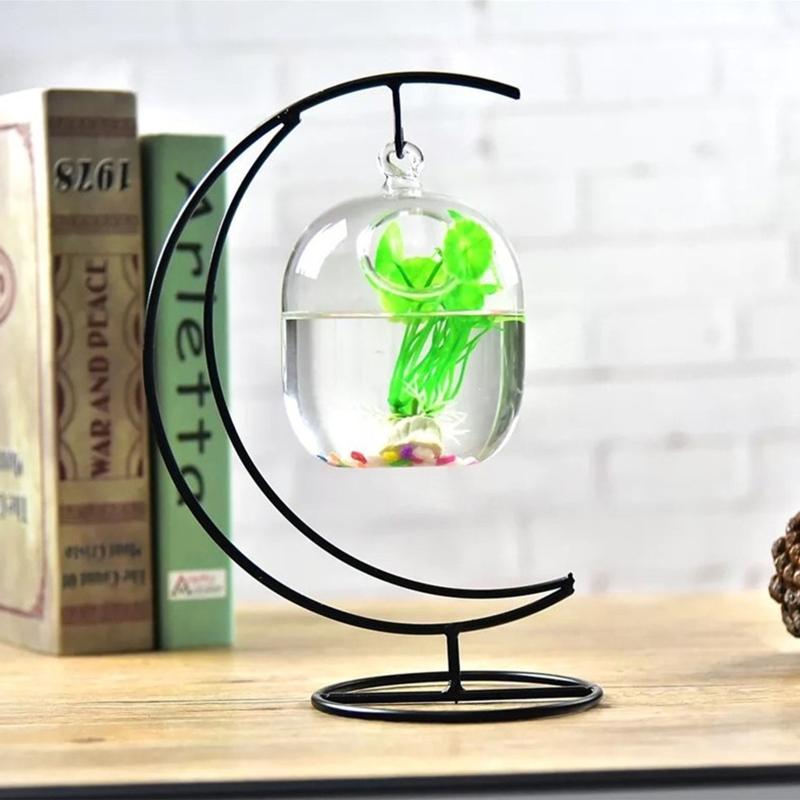 62kd แขวนคร่าว - Planted Aquarium Bowl บทวิจารณ์และราคา