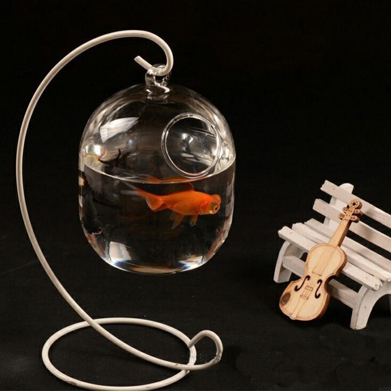 62kd แขวนคร่าว - Planted Aquarium Bowl บทวิจารณ์และราคา