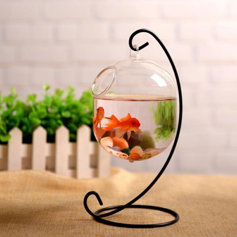 62kd แขวนคร่าว - Planted Aquarium Bowl บทวิจารณ์และราคา