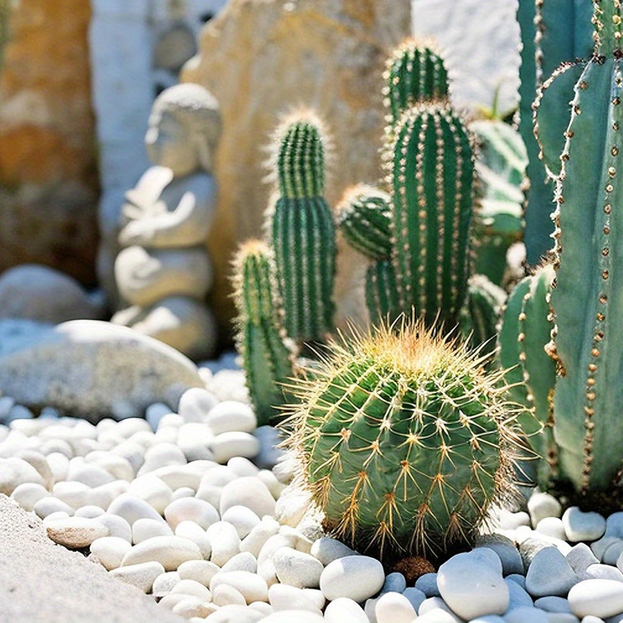 หินกรวดขัดเงาสีขาวธรรมชาติ ขนา - Aquarium Planted บทวิจารณ์และราคา
