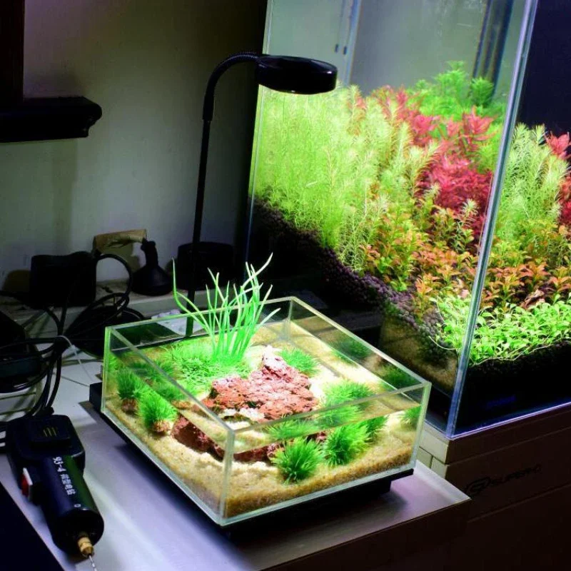 ไฟตู้ปลาแบบมินิ LED พร้อมแผ่นไ - Planted Aquarium Freshwater บทวิจารณ์และราคา