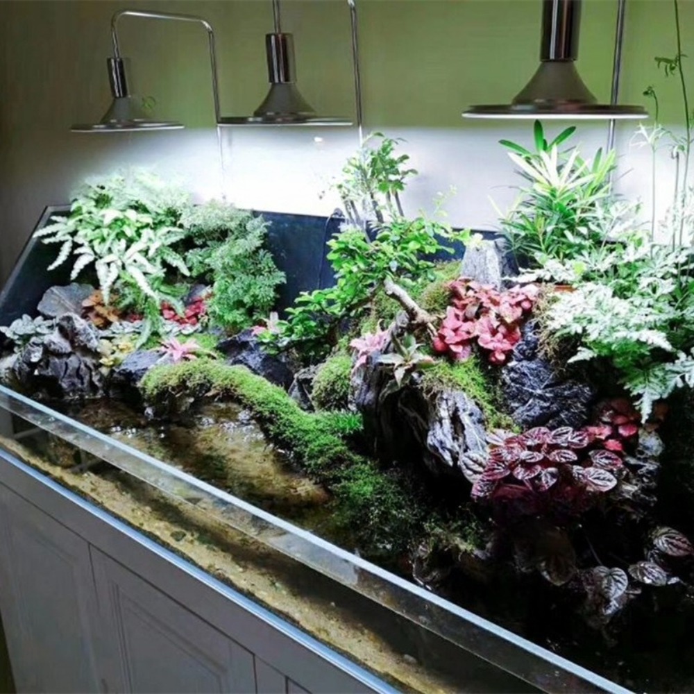 ไฟ LED สำหรับตู้ปลาพร้อมขายึดป - Planted Aquarium Freshwater บทวิจารณ์และราคา