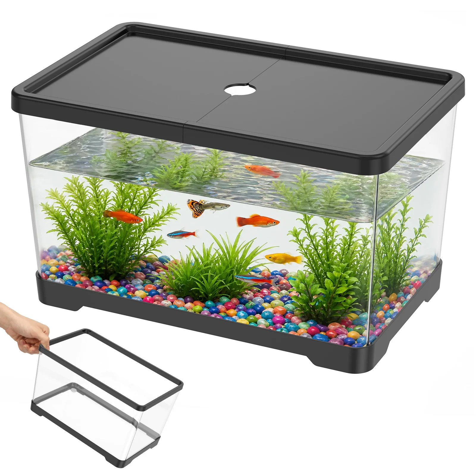 ตู้ปลาใสพร้อมฝาปิด ตู้ปลาทรงสี - Planted Aquarium Bowl บทวิจารณ์และราคา