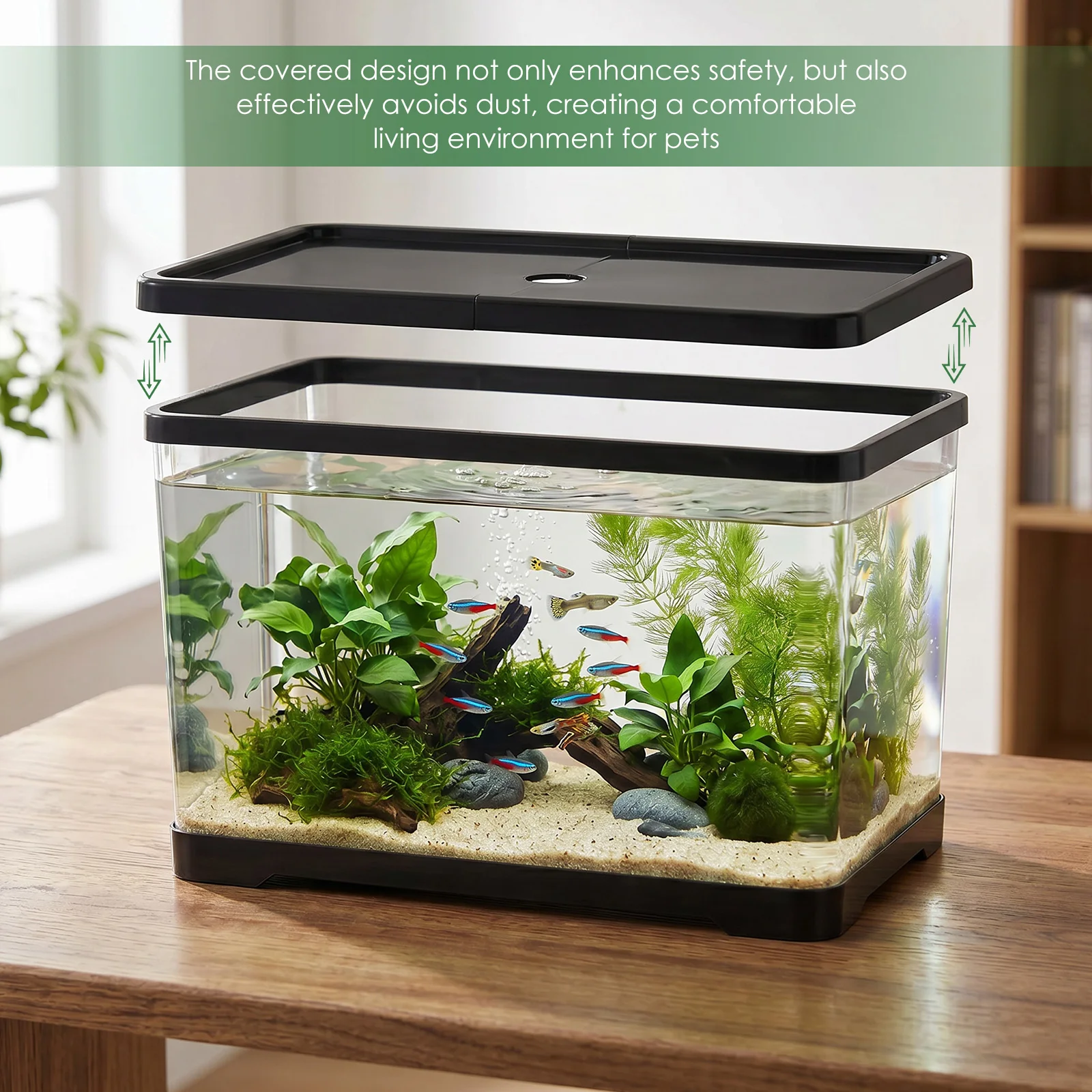 ตู้ปลาใสพร้อมฝาปิด ตู้ปลาทรงสี - Planted Aquarium Bowl บทวิจารณ์และราคา