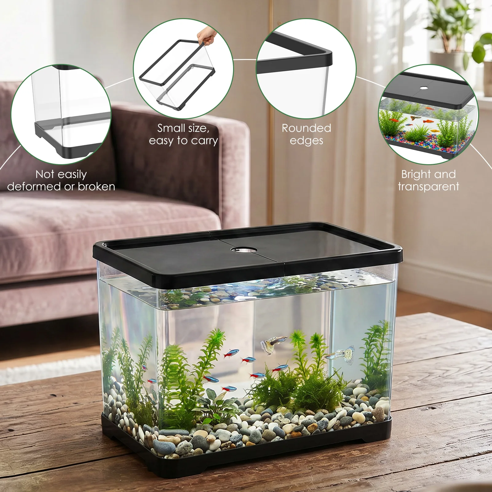 ตู้ปลาใสพร้อมฝาปิด ตู้ปลาทรงสี - Planted Aquarium Bowl บทวิจารณ์และราคา