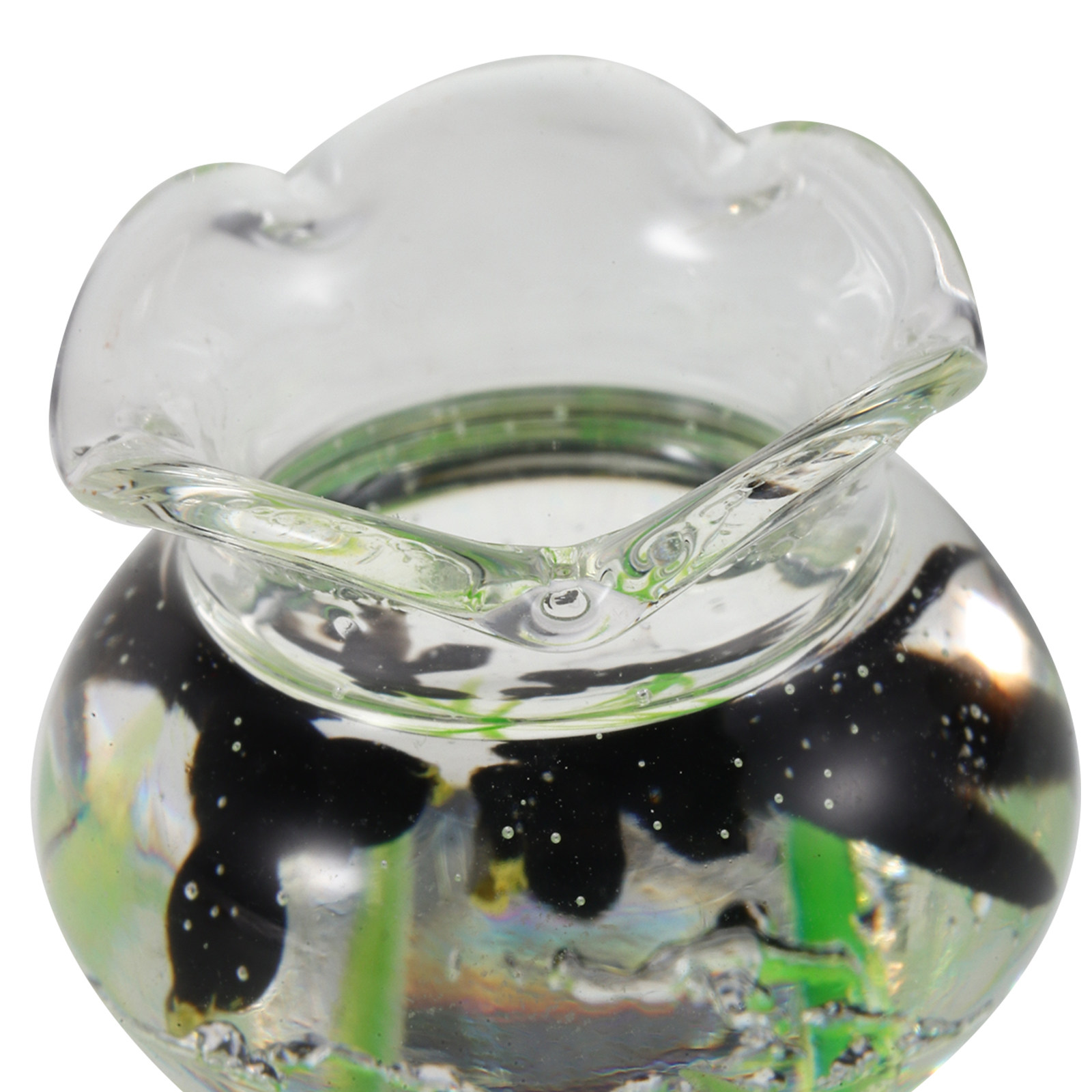 ตู้ปลาเรซินขนาดเล็ก ตู้ปลาทรงก - Planted Aquarium Bowl บทวิจารณ์และราคา